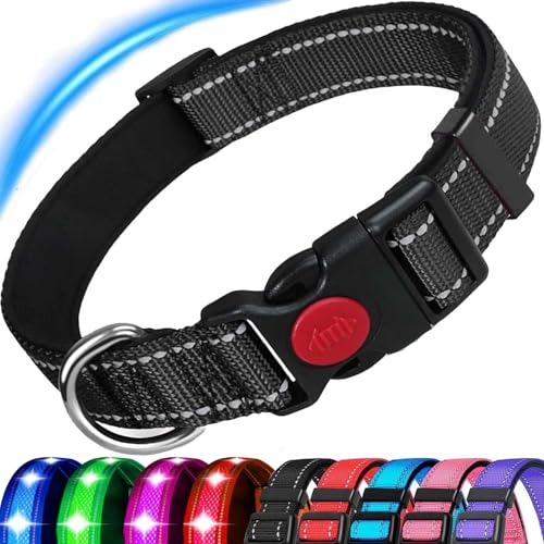 ATETEO Dog Collar, Reflective Adjustable Basic Dog Collar with Soft Neoprene Padding, Durable Nylon Pet Collars for Puppy Small Medium Large Dogs ATETEO Dog Collar, Reflective Adjustable Basic Dog Collar with Soft Neoprene Padding, Durable Nylon Pet Collars for Puppy Small Medium Large Dogs von ATETEO
