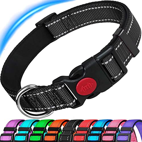ATETEO Dog Collar, Reflective Adjustable Basic Dog Collar with Soft Neoprene Padding, Durable Nylon Pet Collars for Puppy Small Medium Large Dogs ATETEO Dog Collar, Reflective Adjustable Basic Dog Collar with Soft Neoprene Padding, Durable Nylon Pet Collars for Puppy Small Medium Large Dogs von ATETEO