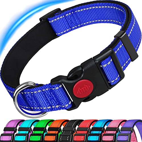 ATETEO Reflective Dog Collar with Safety Locking Buckle and Soft Neoprene Padded, Adjustable Durable Nylon Puppy Collars for Small Medium Dogs,Blue von ATETEO