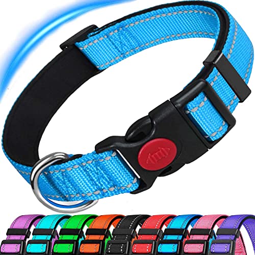 ATETEO Reflective Dog Collar with Safety Locking Buckle and Soft Neoprene Padded, Adjustable Durable Nylon Puppy Collars for Small Medium Dogs,Blue von ATETEO