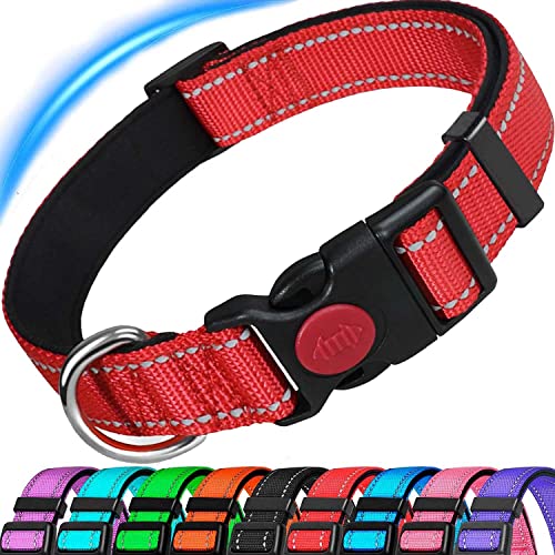 Dog Collar, Reflective Adjustable Basic Dog Collar with Soft Neoprene Padding, Durable Nylon Pet Collars for Puppy Small Medium Large Dogs Dog Collar, Reflective Adjustable Basic Dog Collar with Soft Neoprene Padding, Durable Nylon Pet Collars for Puppy Small Medium Large Dogs von ATETEO