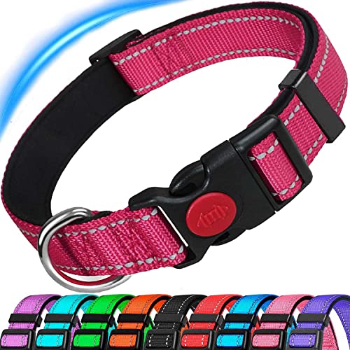 Dog Collar, Reflective Adjustable Basic Dog Collar with Soft Neoprene Padding, Durable Nylon Pet Collars for Puppy Small Medium Large Dogs Dog Collar, Reflective Adjustable Basic Dog Collar with Soft Neoprene Padding, Durable Nylon Pet Collars for Puppy Small Medium Large Dogs von ATETEO
