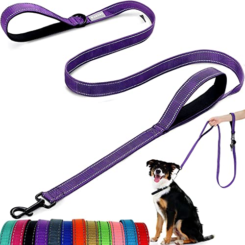Hundeleine – mit Zwei gepolsterten Griffen, Zwei Hundeleinen-Modi, doppelseitige, reflektierende Nylon-Hundeleine für Training und Spazierengehen, perfekt für mittelgroße Hunde Hundeleine – mit Zwei gepolsterten Griffen, Zwei Hundeleinen-Modi, doppelseitige, reflektierende Nylon-Hundeleine für Training und Spazierengehen, perfekt für mittelgroße Hunde von ATETEO
