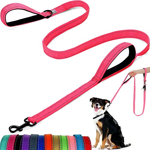 Hundeleine – mit Zwei gepolsterten Griffen, Zwei Hundeleinen-Modi, doppelseitige, reflektierende Nylon-Hundeleine für Training und Spaziergänge, perfekt für mittelgroße Hunde von ATETEO