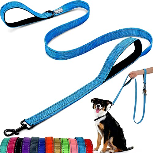 Hundeleine – mit Zwei gepolsterten Griffen, Zwei Hundeleinen-Modi, doppelseitige, reflektierende Nylon-Hundeleine für Training und Spaziergänge, perfekt für mittelgroße Hunde von ATETEO