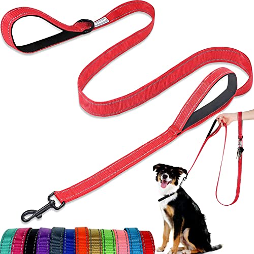 Hundeleine – mit Zwei gepolsterten Griffen, Zwei Hundeleinen-Modi, doppelseitige, reflektierende Nylon-Hundeleine für Training und Spazierengehen, perfekt für mittelgroße und große Hunde Hundeleine – mit Zwei gepolsterten Griffen, Zwei Hundeleinen-Modi, doppelseitige, reflektierende Nylon-Hundeleine für Training und Spazierengehen, perfekt für mittelgroße und große Hunde von ATETEO