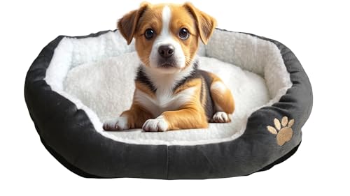 ATEVDO Graues Hunde-/Katzen-Haustierbett – weiche Lammwolle, hohe PP-Baumwolle gefüllt, Komfort für alle Jahreszeiten für Welpen, Kätzchen und Neugeborene ATEVDO Graues Hunde-/Katzen-Haustierbett – weiche Lammwolle, hohe PP-Baumwolle gefüllt, Komfort für alle Jahreszeiten für Welpen, Kätzchen und Neugeborene von ATEVDO