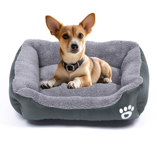 ATEVDO Graues mittelgroßes Hundebett für Hunde und Katzen, warm, weich, flauschig, bequem, rutschfest, waschbar, Haustierbett, 48,3 x 38,1 cm ATEVDO Graues mittelgroßes Hundebett für Hunde und Katzen, warm, weich, flauschig, bequem, rutschfest, waschbar, Haustierbett, 48,3 x 38,1 cm von ATEVDO