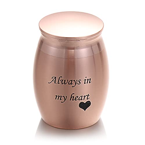 ATGQBCF Tierurne 1Pc Mini Memorial Urne Aluminiumlegierung Gewindedeckel Pet Urnen Geliebte Pet Andenken Bestattungsurne Gedenkstätten Für Haustiere(4,L) von ATGQBCF
