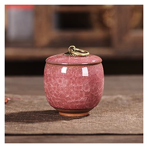 ATGQBCF Tierurne Pet Urn for Dogs Cats Ashes Keepsake Memorial Box Funeral Set Burial Urns for Cremated Remains Ash Vial Adult Funeral Urn Pet Cat and Dog Urn 73251 Gedenkstätten Für Haustiere(F,S) von ATGQBCF