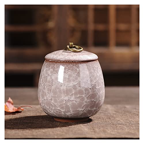 ATGQBCF Tierurne Pet Urn for Dogs Cats Ashes Keepsake Memorial Box Funeral Set Burial Urns for Cremated Remains Ash Vial Adult Funeral Urn Pet Cat and Dog Urn 73251 Gedenkstätten Für Haustiere(G,M) von ATGQBCF