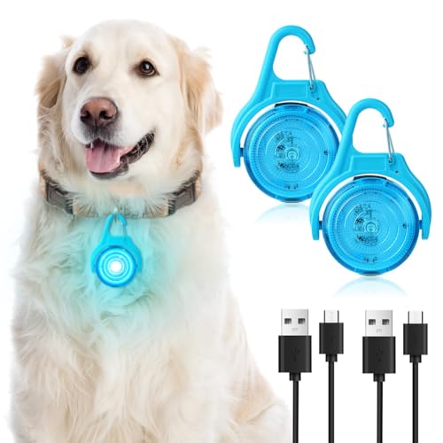 AUAUY 2PCS LED Blinklicht, 4 Modis Hundelicht USB Aufladbar Wasserdichtes Sicherheitslicht Reflektoren Licht für Schulranzen, Sicherheitslicht Anhänger für Wandern Laufen Joggen Haustier Kleidung-Blau AUAUY 2PCS LED Blinklicht, 4 Modis Hundelicht USB Aufladbar Wasserdichtes Sicherheitslicht Reflektoren Licht für Schulranzen, Sicherheitslicht Anhänger für Wandern Laufen Joggen Haustier Kleidung-Blau von AUAUY