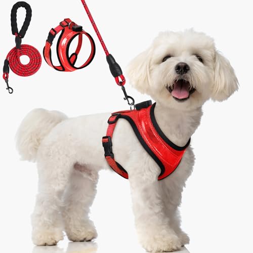 AUAUY Hundegeschirr Leuchtend, Leuchtgeschirr LED Aufladbar Reflektierendes, 3 Modus Atmungsaktiv Leucht Geschirr mit 1.5M Leine Verstellbar Hunde Sicherheitswestenlichter für Nachtspaziergänge-Rot/XS AUAUY Hundegeschirr Leuchtend, Leuchtgeschirr LED Aufladbar Reflektierendes, 3 Modus Atmungsaktiv Leucht Geschirr mit 1.5M Leine Verstellbar Hunde Sicherheitswestenlichter für Nachtspaziergänge-Rot/XS von AUAUY