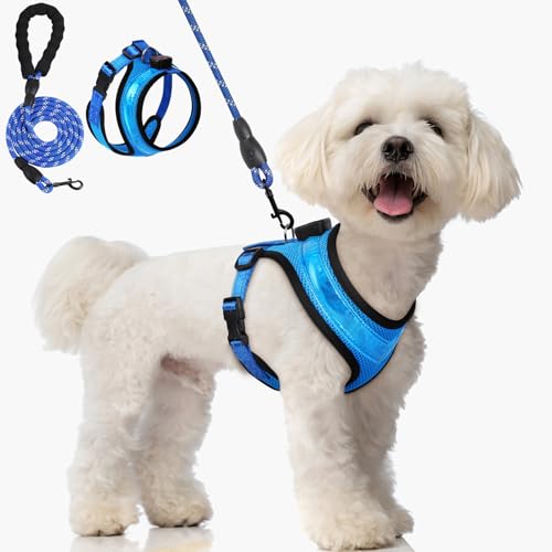 AUAUY Hundegeschirr Leuchtend, Leuchtgeschirr LED Aufladbar Reflektierendes, 3Modus Atmungsaktiv Leucht Geschirr mit 1.5M Leine Verstellbar Hunde Sicherheitswestenlichter für Nachtspaziergänge-Blau/XS AUAUY Hundegeschirr Leuchtend, Leuchtgeschirr LED Aufladbar Reflektierendes, 3Modus Atmungsaktiv Leucht Geschirr mit 1.5M Leine Verstellbar Hunde Sicherheitswestenlichter für Nachtspaziergänge-Blau/XS von AUAUY