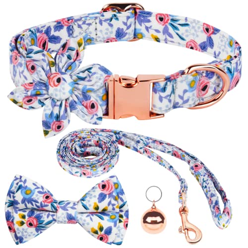 AUAUY Hundehalsband mit Fliege, Komfortable Seide Hundehalsband mit Abnehmbaren Fliege, Langlebige Bequeme Baumwolle Halsband mit Metall-Klickverschluss Schöner Fliege und Glöckchen für Hunde(Blau L) AUAUY Hundehalsband mit Fliege, Komfortable Seide Hundehalsband mit Abnehmbaren Fliege, Langlebige Bequeme Baumwolle Halsband mit Metall-Klickverschluss Schöner Fliege und Glöckchen für Hunde(Blau L) von AUAUY