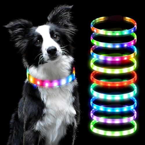 AUAUY LED Leuchthalsband Hund, USB Aufladbar Längenverstellbarer Haustier Sicherheit Silikon Kragen Zuschneidbares Wasserdicht Hundehalsbänder mit 9 Leuchtmodi für Hunde und Katzen von AUAUY
