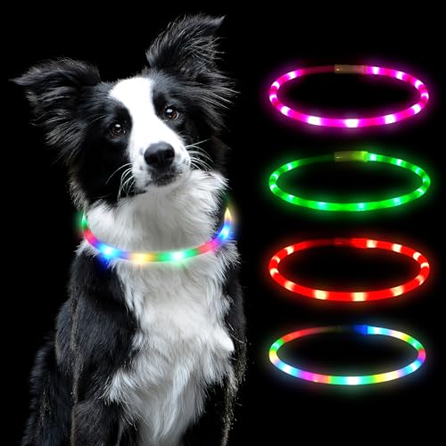 AUAUY LED Leuchthalsband Hund, USB Aufladbar Längenverstellbarer Haustier Sicherheit Silikon Kragen Zuschneidbares Wasserdicht Leuchthalsband für Hunde und Katzen, 4 Modus (Bunt) von AUAUY