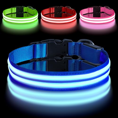 AUAUY Leuchthalsband Hund, Hundehalsband Leuchtend Aufladbar mit 3 Beleuchtungsmodi, Einstellbar Blinklicht Sicherheit Halsband, LED Hundehalsband Wasserdicht für Kleine Mittlere Große Hunde, Blau-L AUAUY Leuchthalsband Hund, Hundehalsband Leuchtend Aufladbar mit 3 Beleuchtungsmodi, Einstellbar Blinklicht Sicherheit Halsband, LED Hundehalsband Wasserdicht für Kleine Mittlere Große Hunde, Blau-L von AUAUY