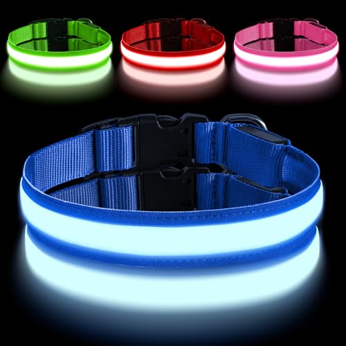 AUAUY Leuchthalsband Hund, Hundehalsband Leuchtend Aufladbar mit 3 Beleuchtungsmodi, Einstellbar Blinklicht Sicherheit Halsband, LED Hundehalsband Wasserdicht für Kleine Mittlere Große Hunde, Blau-L AUAUY Leuchthalsband Hund, Hundehalsband Leuchtend Aufladbar mit 3 Beleuchtungsmodi, Einstellbar Blinklicht Sicherheit Halsband, LED Hundehalsband Wasserdicht für Kleine Mittlere Große Hunde, Blau-L von AUAUY