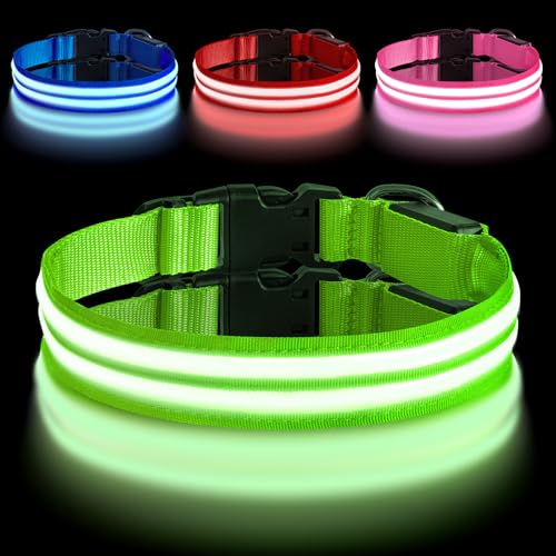 AUAUY Leuchthalsband Hund, Hundehalsband Leuchtend Aufladbar mit 3 Beleuchtungsmodi, Einstellbar Blinklicht Sicherheit Halsband, LED Hundehalsband Wasserdicht für Kleine Mittlere Große Hunde, Grün-M AUAUY Leuchthalsband Hund, Hundehalsband Leuchtend Aufladbar mit 3 Beleuchtungsmodi, Einstellbar Blinklicht Sicherheit Halsband, LED Hundehalsband Wasserdicht für Kleine Mittlere Große Hunde, Grün-M von AUAUY