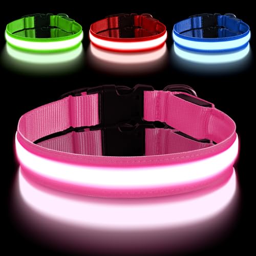 AUAUY Leuchthalsband Hund, Hundehalsband Leuchtend Aufladbar mit 3 Beleuchtungsmodi, Einstellbar Blinklicht Sicherheit Halsband, LED Hundehalsband Wasserdicht für Kleine Mittlere Große Hunde, Rosa-M AUAUY Leuchthalsband Hund, Hundehalsband Leuchtend Aufladbar mit 3 Beleuchtungsmodi, Einstellbar Blinklicht Sicherheit Halsband, LED Hundehalsband Wasserdicht für Kleine Mittlere Große Hunde, Rosa-M von AUAUY