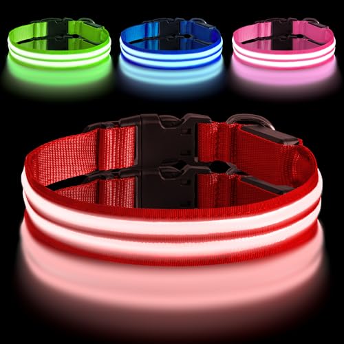 AUAUY Leuchthalsband Hund, Hundehalsband Leuchtend Aufladbar mit 3 Beleuchtungsmodi, Einstellbar Blinklicht Sicherheit Halsband, LED Hundehalsband Wasserdicht für Kleine Mittlere Große Hunde, Rot-M AUAUY Leuchthalsband Hund, Hundehalsband Leuchtend Aufladbar mit 3 Beleuchtungsmodi, Einstellbar Blinklicht Sicherheit Halsband, LED Hundehalsband Wasserdicht für Kleine Mittlere Große Hunde, Rot-M von AUAUY