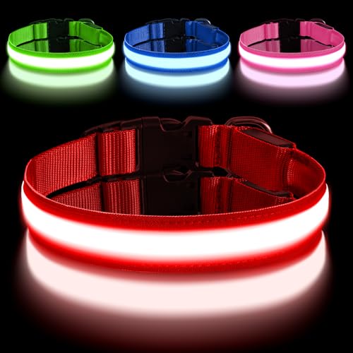 AUAUY Leuchthalsband Hund, Hundehalsband Leuchtend Aufladbar mit 3 Beleuchtungsmodi, Einstellbar Blinklicht Sicherheit Halsband, LED Hundehalsband Wasserdicht für Kleine Mittlere Große Hunde, Rot-M AUAUY Leuchthalsband Hund, Hundehalsband Leuchtend Aufladbar mit 3 Beleuchtungsmodi, Einstellbar Blinklicht Sicherheit Halsband, LED Hundehalsband Wasserdicht für Kleine Mittlere Große Hunde, Rot-M von AUAUY