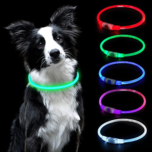 AUAUY Leuchthalsband Hund, LED Hundehalsband USB Aufladbar Längenverstellbarer Haustier Sicherheit Kragen Zuschneidbares Wasserdicht Leuchthalsband für Hunde und Katzen (5 Farbverlauf) von AUAUY