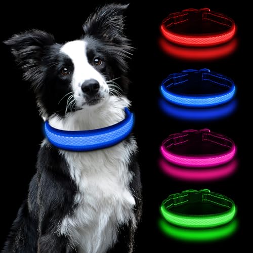AUAUY Leuchthalsband Hunde USB Aufladbar, Einstellbar Sicherheit Hundehalsband mit 3 Beleuchtungsmodi, Leuchtet im Dunkeln, Wasserdichtes LED Leuchthalsband für Kleine Mittlere Große Hunde (Blau-M) von AUAUY