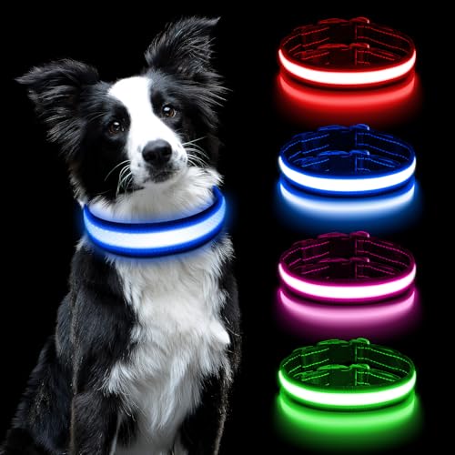 AUAUY Leuchthalsband Hunde USB Aufladbar, Einstellbar Sicherheit Hundehalsband mit 3 Beleuchtungsmodi, Leuchtet im Dunkeln, Wasserdichtes LED Leuchthalsband für Kleine Mittlere Große Hunde (Blau-M) von AUAUY