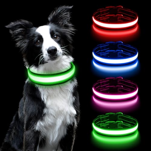 AUAUY Leuchthalsband Hunde USB Aufladbar, Einstellbar Sicherheit Hundehalsband mit 3 Beleuchtungsmodi, Leuchtet im Dunkeln, Wasserdichtes LED Leuchthalsband für Kleine Mittlere Große Hunde (Grün-M) AUAUY Leuchthalsband Hunde USB Aufladbar, Einstellbar Sicherheit Hundehalsband mit 3 Beleuchtungsmodi, Leuchtet im Dunkeln, Wasserdichtes LED Leuchthalsband für Kleine Mittlere Große Hunde (Grün-M) von AUAUY