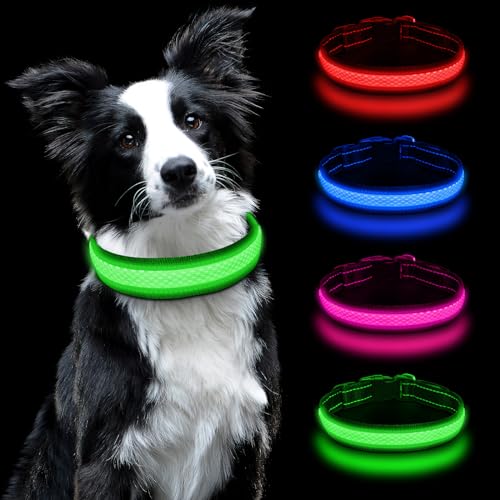 AUAUY Leuchthalsband Hunde USB Aufladbar, Einstellbar Sicherheit Hundehalsband mit 3 Beleuchtungsmodi, Leuchtet im Dunkeln, Wasserdichtes LED Leuchthalsband für Kleine Mittlere Große Hunde (Grün-M) von AUAUY