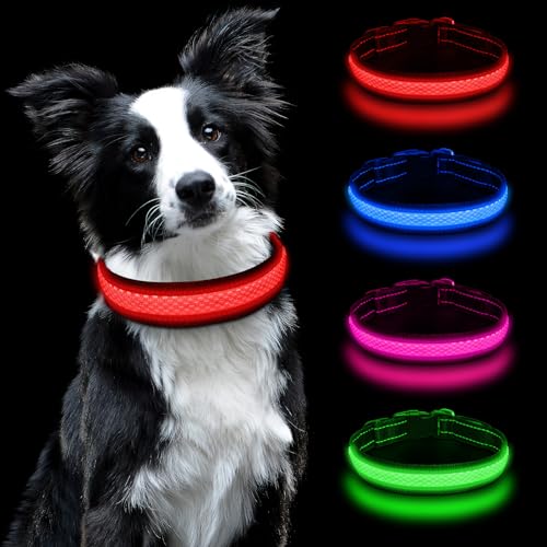 AUAUY Leuchthalsband Hunde USB Aufladbar, Einstellbar Sicherheit Hundehalsband mit 3 Beleuchtungsmodi, Leuchtet im Dunkeln, Wasserdichtes LED Leuchthalsband für Kleine Mittlere Große Hunde (Rot-M) von AUAUY