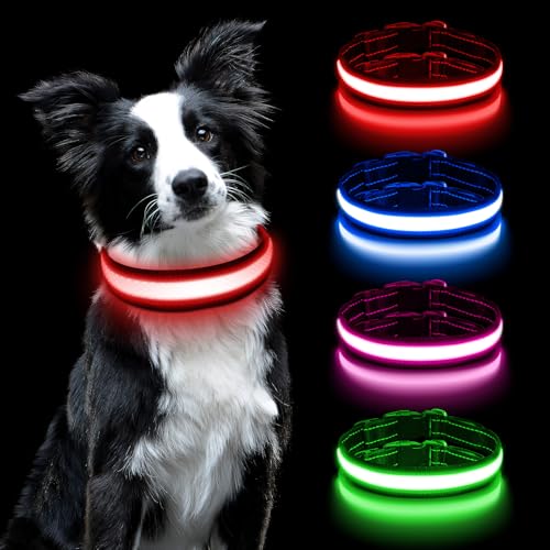 AUAUY Leuchthalsband Hunde USB Aufladbar, Einstellbar Sicherheit Hundehalsband mit 3 Beleuchtungsmodi, Leuchtet im Dunkeln, Wasserdichtes LED Leuchthalsband für Kleine Mittlere Große Hunde (Rot-M) von AUAUY