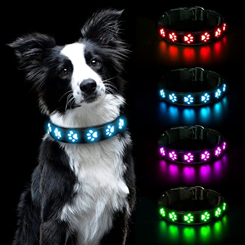 AUAUY Hundehalsband Leuchtend, LED Leuchthalsband Hunde Halsband USB Wiederaufladbar Wasserdichtes für Kleine Mittlere Große Haustier Einstellbar Sicherheit Kragen mit 3 Beleuchtungsmodi (Blau-L) von AUAUY