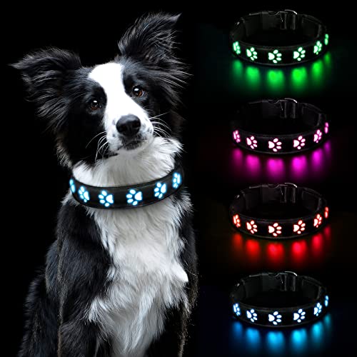 AUAUY Hundehalsband Leuchtend, LED Leuchthalsband Hunde Halsband USB Wiederaufladbar Wasserdichtes für Kleine Mittlere Große Haustier Einstellbar Sicherheit Kragen mit 3 Beleuchtungsmodi (Blau-M) von AUAUY
