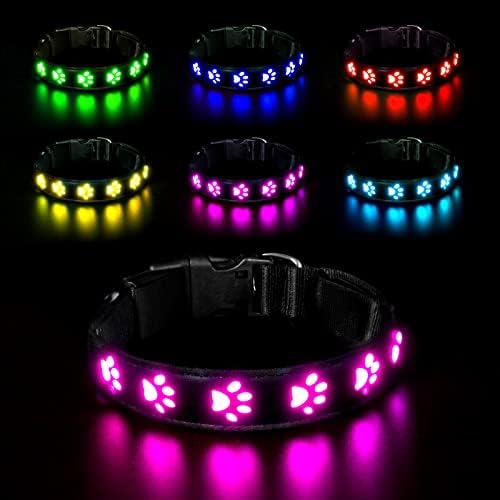 AUAUY Hundehalsband Leuchtend, LED Leuchthalsband Hunde Halsband USB Wiederaufladbar Wasserdichtes für Kleine Mittlere Große Haustier Einstellbar Sicherheit Kragen mit 6 Farben (Colorful-L) AUAUY Hundehalsband Leuchtend, LED Leuchthalsband Hunde Halsband USB Wiederaufladbar Wasserdichtes für Kleine Mittlere Große Haustier Einstellbar Sicherheit Kragen mit 6 Farben (Colorful-L) von AUAUY