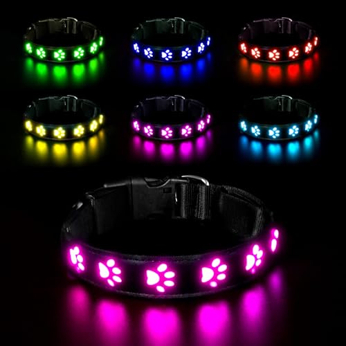 AUAUY Hundehalsband Leuchtend, LED Leuchthalsband Hunde Halsband USB Wiederaufladbar Wasserdichtes für Kleine Mittlere Große Haustier Einstellbar Sicherheit Kragen mit 6 Farben (Colorful-M) von AUAUY