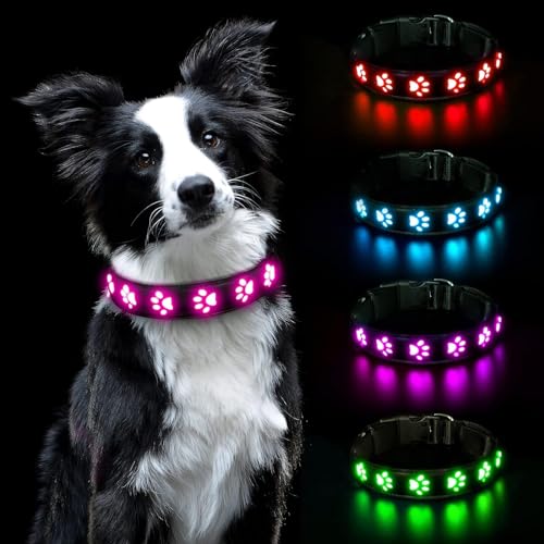 AUAUY Hundehalsband Leuchtend, LED Leuchthalsband Hunde Halsband USB Wiederaufladbar Wasserdichtes für Kleine Mittlere Große Haustier Einstellbar Sicherheit Kragen mit 3 Beleuchtungsmodi (Rosa-M) von AUAUY