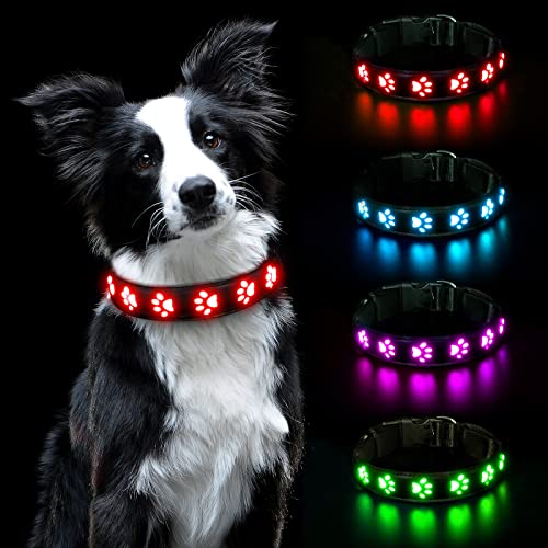 AUAUY Hundehalsband Leuchtend, LED Leuchthalsband Hunde Halsband USB Wiederaufladbar Wasserdichtes für Kleine Mittlere Große Haustier Einstellbar Sicherheit Kragen mit 3 Beleuchtungsmodi (Rot-L) von AUAUY