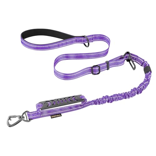 Robuste Hundeleine, reflektierende Hundeleine mit Auto-Sicherheitsgurt für große Hunde bis zu 68 kg, 1.8 m, stoßdämpfend, einziehbar, starke Hundeleine, Hundeleine für Hundetraining, Violett Robuste Hundeleine, reflektierende Hundeleine mit Auto-Sicherheitsgurt für große Hunde bis zu 68 kg, 1.8 m, stoßdämpfend, einziehbar, starke Hundeleine, Hundeleine für Hundetraining, Violett von AUBELL
