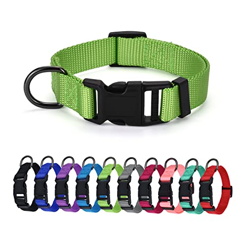 AUDWUD Dickes Nylonhalsband,klassisches verstellbares Hundehalsband in Mehreren Farben,geeignet für kleine,mittlere und große Hunde,4 Größen AUDWUD Dickes Nylonhalsband,klassisches verstellbares Hundehalsband in Mehreren Farben,geeignet für kleine,mittlere und große Hunde,4 Größen von AUDWUD