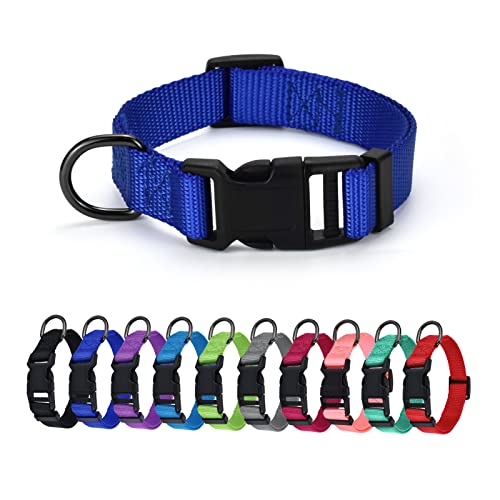 AUDWUD Dickes Nylonhalsband,klassisches verstellbares Hundehalsband in Mehreren Farben,geeignet für kleine,mittlere und große Hunde,4 Größen AUDWUD Dickes Nylonhalsband,klassisches verstellbares Hundehalsband in Mehreren Farben,geeignet für kleine,mittlere und große Hunde,4 Größen von AUDWUD