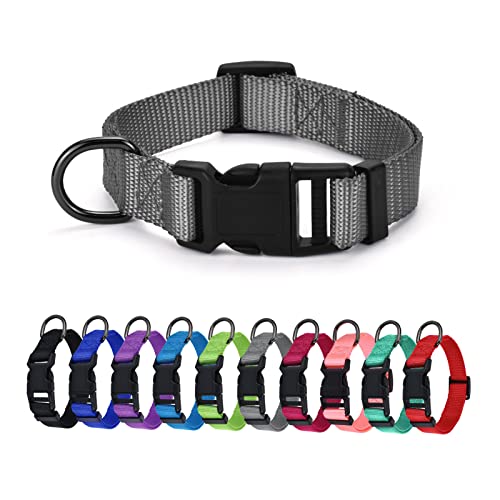 AUDWUD Dickes Nylonhalsband,klassisches verstellbares Hundehalsband in Mehreren Farben,geeignet für kleine,mittlere und große Hunde,4 Größen AUDWUD Dickes Nylonhalsband,klassisches verstellbares Hundehalsband in Mehreren Farben,geeignet für kleine,mittlere und große Hunde,4 Größen von AUDWUD