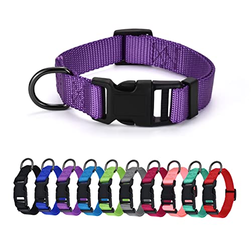 AUDWUD Dickes Nylonhalsband,klassisches verstellbares Hundehalsband in Mehreren Farben,geeignet für kleine,mittlere und große Hunde,4 Größen AUDWUD Dickes Nylonhalsband,klassisches verstellbares Hundehalsband in Mehreren Farben,geeignet für kleine,mittlere und große Hunde,4 Größen von AUDWUD