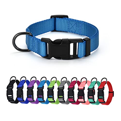AUDWUD Dickes Nylonhalsband,klassisches verstellbares Hundehalsband in Mehreren Farben,geeignet für kleine,mittlere und große Hunde,4 Größen AUDWUD Dickes Nylonhalsband,klassisches verstellbares Hundehalsband in Mehreren Farben,geeignet für kleine,mittlere und große Hunde,4 Größen von AUDWUD