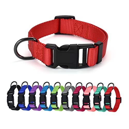 AUDWUD Dickes Nylonhalsband,klassisches verstellbares Hundehalsband in Mehreren Farben,geeignet für kleine,mittlere und große Hunde,4 Größen AUDWUD Dickes Nylonhalsband,klassisches verstellbares Hundehalsband in Mehreren Farben,geeignet für kleine,mittlere und große Hunde,4 Größen von AUDWUD