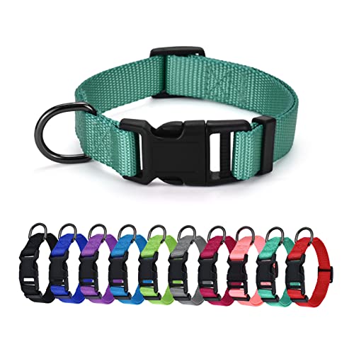 AUDWUD Dickes Nylonhalsband,klassisches verstellbares Hundehalsband in Mehreren Farben,geeignet für kleine,mittlere und große Hunde,4 Größen AUDWUD Dickes Nylonhalsband,klassisches verstellbares Hundehalsband in Mehreren Farben,geeignet für kleine,mittlere und große Hunde,4 Größen von AUDWUD