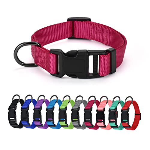 AUDWUD Dickes Nylonhalsband,klassisches verstellbares Hundehalsband in Mehreren Farben,geeignet für kleine,mittlere und große Hunde,4 Größen AUDWUD Dickes Nylonhalsband,klassisches verstellbares Hundehalsband in Mehreren Farben,geeignet für kleine,mittlere und große Hunde,4 Größen von AUDWUD
