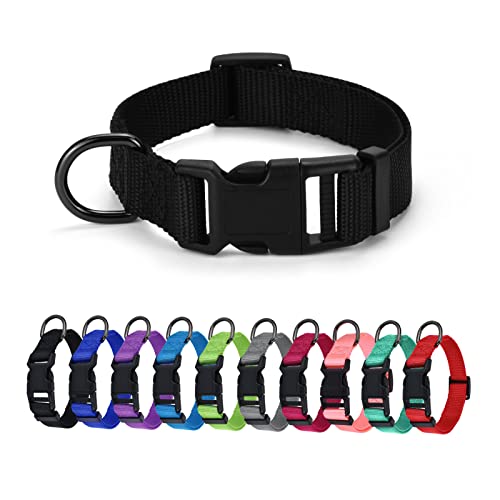 AUDWUD Dickes Nylonhalsband,klassisches verstellbares Hundehalsband in Mehreren Farben,geeignet für kleine,mittlere und große Hunde,4 Größen AUDWUD Dickes Nylonhalsband,klassisches verstellbares Hundehalsband in Mehreren Farben,geeignet für kleine,mittlere und große Hunde,4 Größen von AUDWUD